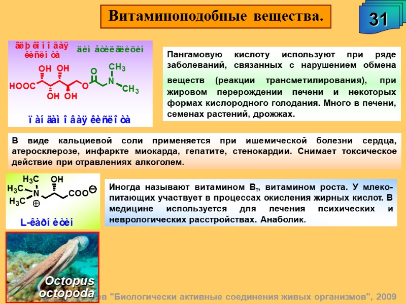 А.М. Чибиряев 